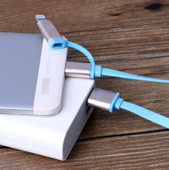 dual-cable2.jpg