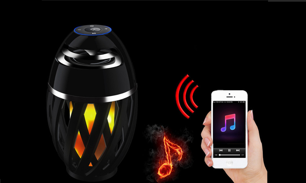 flame-speaker-format-2.jpg
