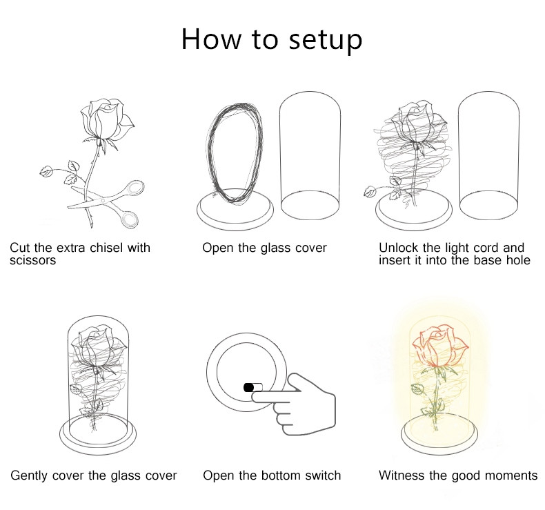 how-to-setup-rose.jpg