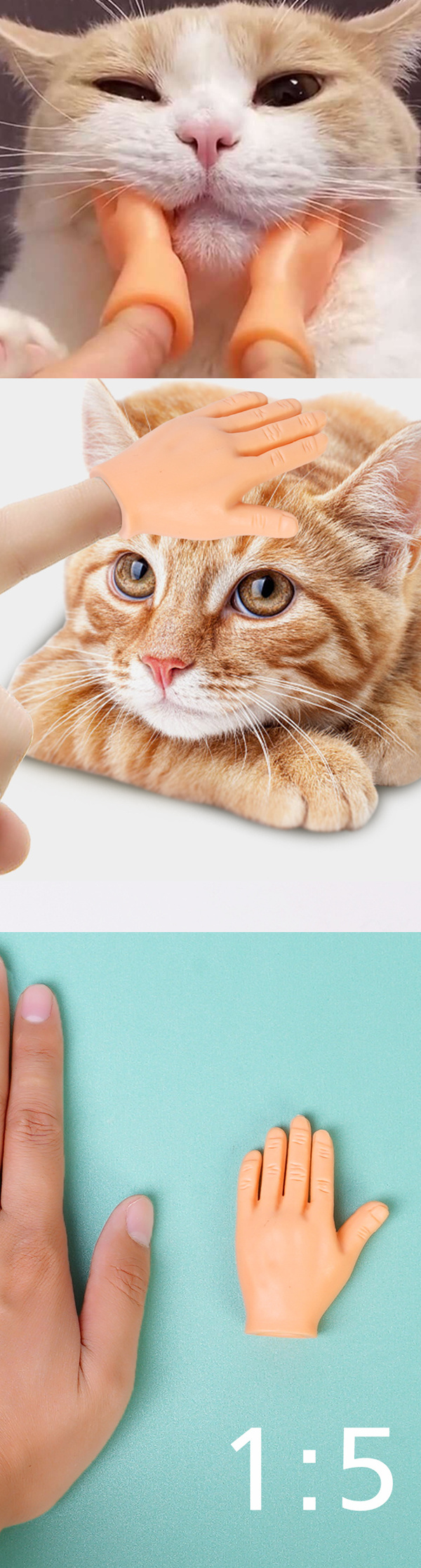 pvc-hands-format-web.jpg