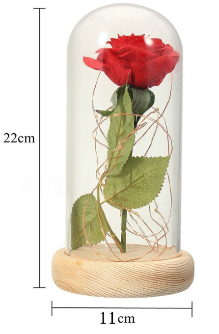 rose-lamp-size-final.png