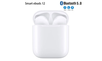 Smart ebuds 12 touch Bluetooth earbuds with charging case Smart ebuds 2.0