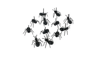 12psc Ant Toothpick Lunch Stick Ant Moving Snack Fork Party Series Fruit Fork