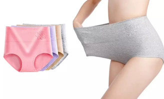 NEW-4pcs -8pcs High Waist Embossed Rose Panties5111-LA