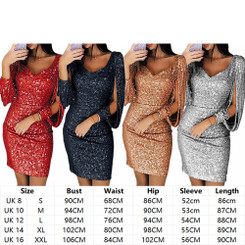 Women’s Sequin Dress With Fringe Sleeves – Party & Evening Wear 3402
