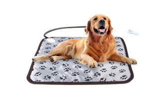 NEW Pet waterproof and anti-bite wear-resistant adjustable temperature constant temperature electric blanket 5707