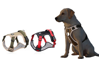2309 NEW  Vest style large dog chest and back explosion-proof pet chest and back strap 8131 LA