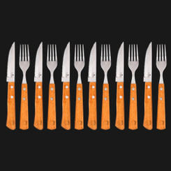12 Piece Luxury Steak Knives Set 