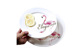 FMG DISH