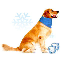 NEW 2606  Evaporative Cooling Pet Bandana Summer Heat Relief Scarf  Y159
