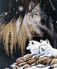 Shop with us now for Northern Lights Counted Cross Stitch Kit Janlynn