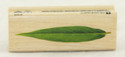 Linear Leaf Wood Mounted Rubber Stamp Inkadinkado