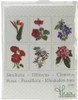 Floral Studies #1 On Linen Counted Cross Stitch Kit Thea Gouverneur