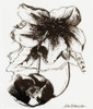 SHOP now for Flower and Bud Mounted La Blanche Craft Stamp at Archway Variety