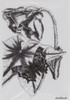 Click here to buy Lablanche Elegant Flower and Butterfly Mounted Stamp