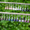 Top row (left to right): Bronze, Champagne, White, Light Gray, Dark Gray, Black
Bottom Row (left to right): Brown, Dark Green, Peacock, Dark Purple, Mauve, Burgundy
