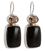 Mahoganite & Swarovski Crystal Copper Earrings
