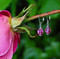Single Crystal Earrings in Sterling Silver Rose