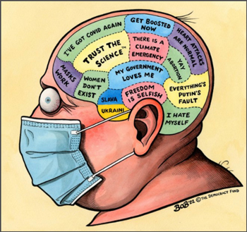 head-with-brain-compartments350.jpg