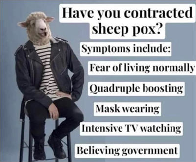 sheeppox400.jpg