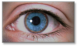 wilsons-disease-eye-255.jpg