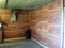Western Red Cedar at home in a hunting cabin