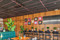 A vibrant, eclectic, and modern commercial hospitality space—such as a trendy restaurant, bar, or café—that masterfully blends mid-century warmth with bold, contemporary design accents. The room relies on the organic texture of full-wall Spirit Birch wood paneling.