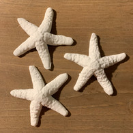 3" Starfish Pack (3 per box)