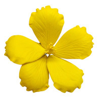 3.5" Hibiscus - Lemon Yellow (Sold Individually)