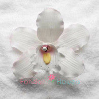 4" Cymbidium Orchid - Medium - White w/Pink (Sold Individually)
