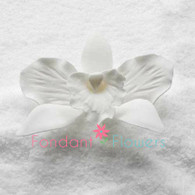 3" Cattleya Orchid - Medium - White (Sold Individually)
