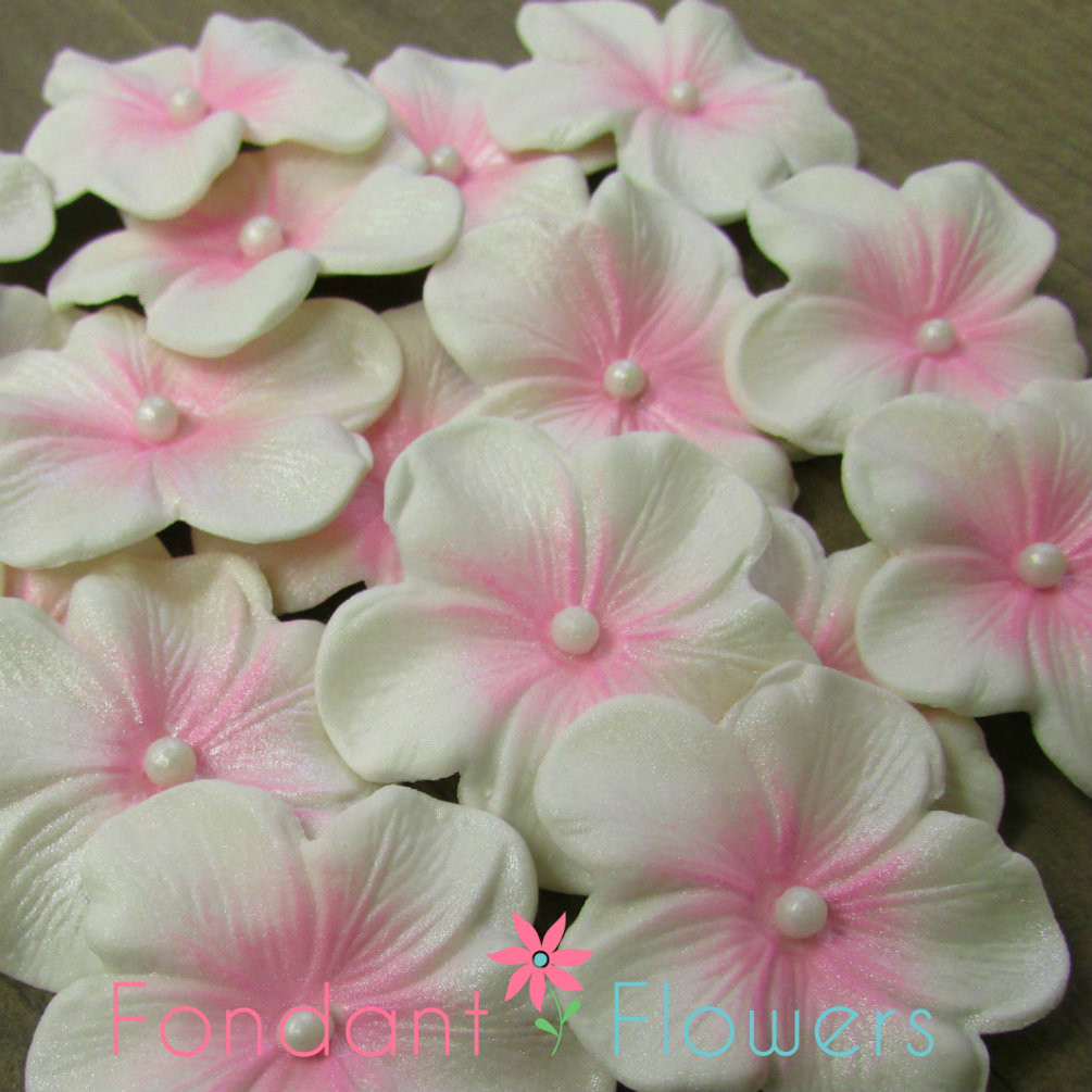 1.5" Charming Blossom White w/ Pink (10 per box)