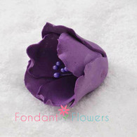 1.5" Tulip - Purple (Sold Individually)