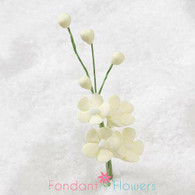 2.5" Forget-Me-Not Blossom Filler - Yellow