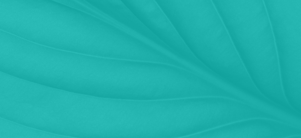 psb-banners-03.jpg psb-banners-03.jpg