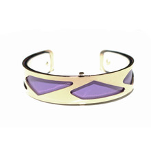 HALF INCH INTERCHANGEABLE CUFF - PURPLE PARIS