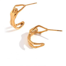 STAINLESS EARRINGS SE40 GOLD BODY