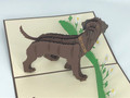 Handmade 3D Kirigami Card

with envelope

Chocolate Labrador Dog