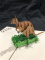 Handmade 3D Kirigami Card

with envelope

Kangaroo