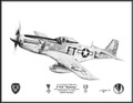 North American P-51D Mustang (Lt.Col. Glenn T. Eagleston) ~ Free Shipping