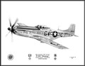 North American P-51D Mustang (Maj. Leonard K. "Kit" Carson) ~ Free Shipping