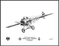 Fokker Eindecker ~ (Max Immelmann) ~ Free Shipping