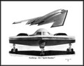 Northrop ~ B-2 "Spirit Bomber" ~ Free Shipping