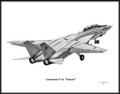 Grumman F-14 Tomcat ~ Free Shipping