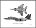 McDonnell/Douglas F-15C "Eagle" ~ Free Shipping