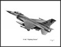 F-16C "Fighting Falcon" ~ Free Shipping
