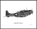 Douglas SBD "Dauntless" ~ Free Shipping
