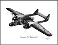 Northrop P-61 Black Widow  "Jukin Judy" ~ Free Shipping