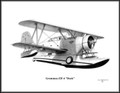 Grumman J2F-4 "Duck" ~ Free Shipping