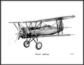 Pitcairn Mailwing ~ Free Shipping